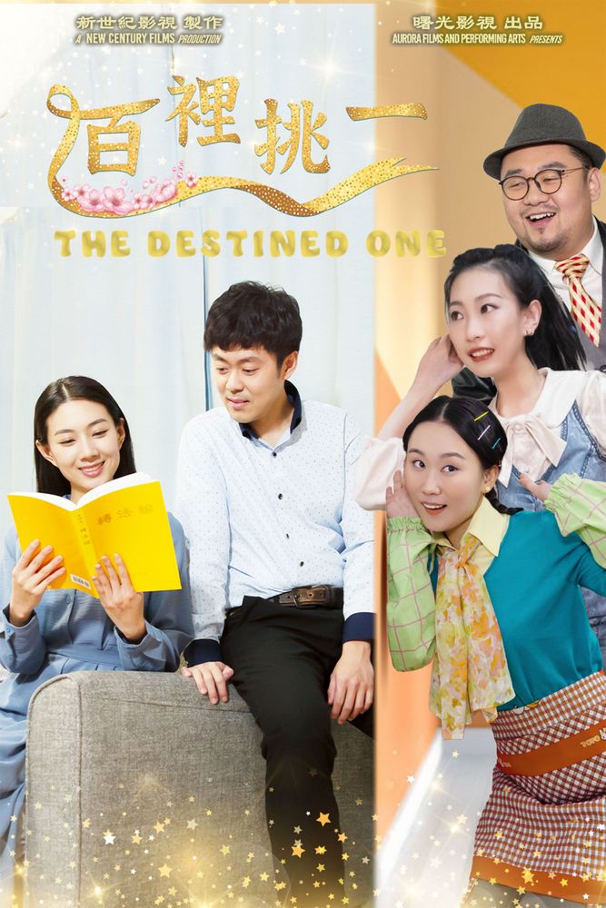 The Destined One poster